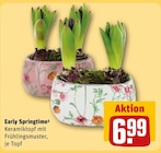 Early Springtime Angebote bei REWE Fürth für 6,99 €