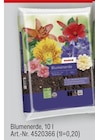 Blumenerde Angebote bei toom Baumarkt Rastatt für 2,00 €