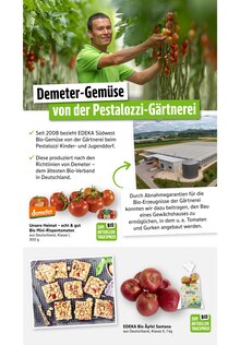 Tomaten im EDEKA Prospekt "Aktuelle Angebote" mit 76 Seiten (Saarbrücken)
