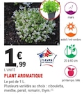 Plant aromatique dans le catalogue E.Leclerc