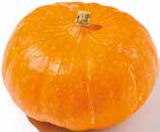 Deutscher Hokkaido Kürbis Angebote bei Netto mit dem Scottie Cottbus für 0,99 €