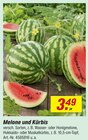 Melone und Kürbis im Angebot bei toom Baumarkt in Lutherstadt Wittenberg Melone und Kürbis Angebote bei toom Baumarkt Lutherstadt Wittenberg für 3,49 €