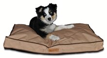 Action Houilles - coussin pour animal Promo coussin pour animal dans le catalogue Action "Petits prix, grands sourires" à Houilles