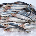 Sardine - Carrefour à Saint-Chamond Sardine en promo chez Carrefour Saint-Chamond à 7,50 €