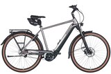 Pegasus Premio Evo 5F Belt Limited 750 Wh Herren silber 2024 Angebote von Pegasus bei Radwelt Coesfeld Duisburg für 2.999,00 €