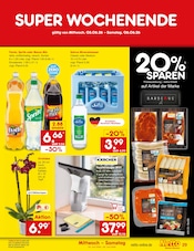 Zimmerpflanzen im Netto Marken-Discount Prospekt in Recklinghausen Aktueller Netto Marken-Discount Prospekt mit Zimmerpflanzen, "Aktuelle Angebote", Seite 43