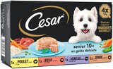 -60 % sur le 2ème sur présentation de votre carte sur les repas pour chien les inspirations du jardin ou senior 10+ - CESAR dans le catalogue Colruyt