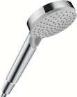 Douchette vernis blend vario eco 2 jets chromé - Mr.Bricolage à Argenteuil Douchette vernis blend vario eco 2 jets chromé en promo chez Mr.Bricolage Argenteuil à 17,90 €