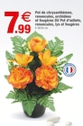 Pot de chrysanthèmes, renoncules, orchidées et fougères - Bazarland à Avignon Pot de chrysanthèmes, renoncules, orchidées et fougères en promo chez Bazarland Avignon à 7,99 €
