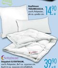 Aktuelles Kopfkissen TRAUMKUGELN Angebot bei Trends in Duisburg ab 14,90 €