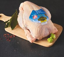 Poulet fermier Blanc Saveur de Bourgogne - Colruyt à Dijon Poulet fermier Blanc Saveur de Bourgogne en promo chez Colruyt Dijon à 4,95 €