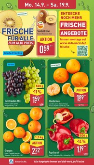 ALDI Nord Prospekt der aktuellen Woche, gültig von 14.09.2026 bis 19.09.2026 Aktueller ALDI Nord Prospekt "Aktuelle Angebote" mit 46 Seiten