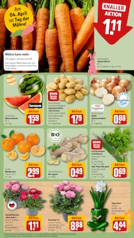 Kartoffeln im REWE Prospekt "Dein Markt" mit 22 Seiten (Erlangen)