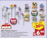Max Pflanzen-Sets Flowers Collection Angebote von Zuru bei famila Nordwest Oldenburg für 6,99 €