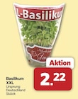 Basilikum XXL im aktuellen famila Nordwest Prospekt