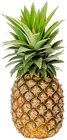 Ananas Gold bei REWE im Rottweil Prospekt für 1,59 €