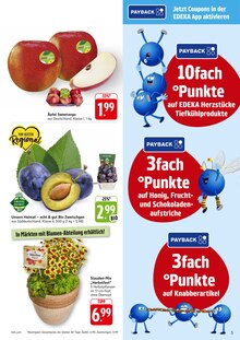 Pflanzen im aktuellen EDEKA Prospekt (Saarbrücken) Pflanzen im EDEKA Prospekt "Aktuelle Angebote" mit 12 Seiten (Saarbrücken)