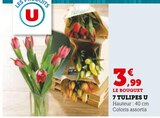 7 tulipes - U dans le catalogue U Express
