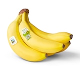 Bio-Bananen von Naturgut im aktuellen Penny Prospekt für 1,69 €