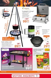 Aktueller Selgros Prospekt mit Grillzubehör, "cash & carry", Seite 15