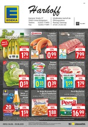 EDEKA Supermarkt Prospekt der aktuellen Woche mit 24 Seiten, gültig von 04.08.2025 bis 09.08.2025, in Bergkamen und Umgebung Aktueller EDEKA Supermarkt Prospekt in Bergkamen und Umgebung, "Aktuelle Angebote" mit 24 Seiten, 04.08.2025 - 09.08.2025