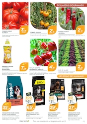Promos Croquettes Chien dans le catalogue "PAUSE NATURE ON SE MET AU VERT !" de Point Vert Croquettes Chien en promo dans le catalogue Point Vert à la page 3
