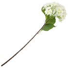 Kunstblume Hortensie für 7,99 € bei Ernstings family im Angebot Kunstblume Hortensie im aktuellen Ernstings family Prospekt