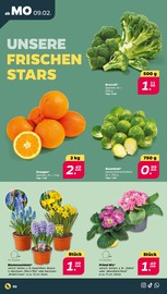 Aktueller Netto mit dem Scottie Prospekt mit Gemüse, "Günstig. Besser. Für Dich.", Seite 2