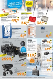 Aktueller Globus-Baumarkt Prospekt mit Streusalz, "Immer eine Idee besser", Seite 13