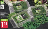 Aktuelles Feldsalat Angebot bei E center in Würzburg ab 1,11 €