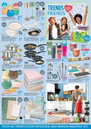 Mülleimer Angebot im aktuellen Trends Prospekt auf Seite 6