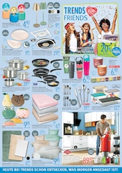 Aktueller Trends Prospekt mit Haushaltsartikel, "TRENDS FOR FRIENDS", Seite 6