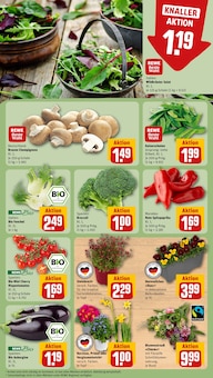 Blumen im REWE Prospekt "Dein Markt" mit 30 Seiten (Oberhausen)