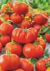 Angebot im toom Baumarkt Langen (Hessen) Prospekt toom Baumarkt Langen (Hessen) Prospekt mit im Angebot für 5,99 €