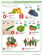 Prospectus Auchan Hypermarché "LA RENTRÉE À PRIX K.O." en cours à La Ciotat, Page 12 Catalogue Auchan Hypermarché en cours à La Ciotat, "LA RENTRÉE À PRIX K.O.", Page 12