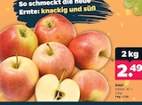 Netto mit dem Scottie - Gala Angebot im Prospekt Gala bei Netto mit dem Scottie im Prospekt "" für 2,49 €