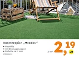 Rasenteppich Meadow von  im aktuellen Globus-Baumarkt Prospekt für 2,19 €