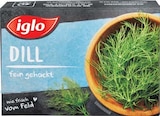 Netto Marken-Discount - Dill Angebot im Prospekt Dill bei Netto Marken-Discount im Prospekt "" für 1,00 €