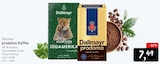 prodomo Kaffee Angebote von Dallmayr bei Konsum Dresden für 7,99 €