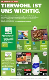 Bio Fleisch Angebote im Prospekt "Aktuelle Angebote" von Kaufland Bio Fleisch Angebote im Prospekt "Aktuelle Angebote" von Kaufland auf Seite 22