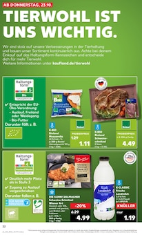Grill Angebot im Kaufland Prospekt, gültig von 23.10.2025 bis 29.10.2025 Grill Angebot im aktuellen Kaufland Prospekt auf Seite 22