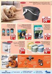 Kopfkissen Angebot & Preis im aktuellen Marktkauf Prospekt Kopfkissen Angebot im aktuellen Marktkauf Prospekt auf Seite 31
