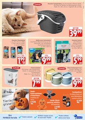 Aktueller Marktkauf Prospekt mit Kissen, "Top Angebote", Seite 31