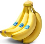 Aktuelle Bananen Angebote bei Penny in Cottbus Aktuelles Bananen Angebot bei Penny in Cottbus ab 1,99 €