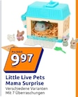 Mama Surprise bei Action im Schweinfurt Prospekt für 9,97 €