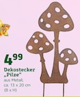 Dekostecker "Pilze" Angebote bei Pflanzen Kölle Falkensee für 4,99 €