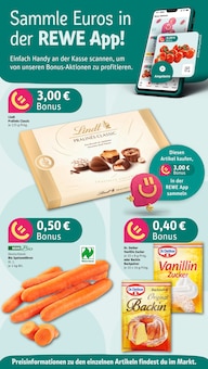 REWE Wiehl Prospekt der aktuellen Woche, gültig von 17.11.2025 bis 22.11.2025 Aktueller REWE Wiehl Prospekt "Dein Markt" mit 28 Seiten