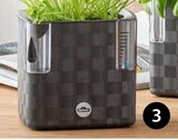 Übertopf Mona im Angebot bei Dehner Garten-Center in Mainz Übertopf Mona Angebote bei Dehner Garten-Center Mainz für 12,99 €