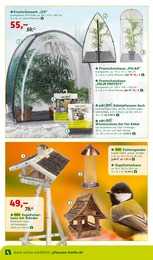 Vogelfutter Angebot & Preis im aktuellen Pflanzen Kölle Prospekt Vogelfutter Angebot im aktuellen Pflanzen Kölle Prospekt auf Seite 12