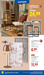 Prix et réduction Tapis dans le prospectus Lidl en cours Offre Tapis dans le catalogue Lidl du moment à la page 30